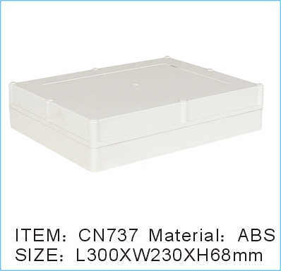 CN737.jpg